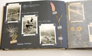 Ein Fotoalbum mit getrockneten Blumen; Archiv für Alltagskultur.